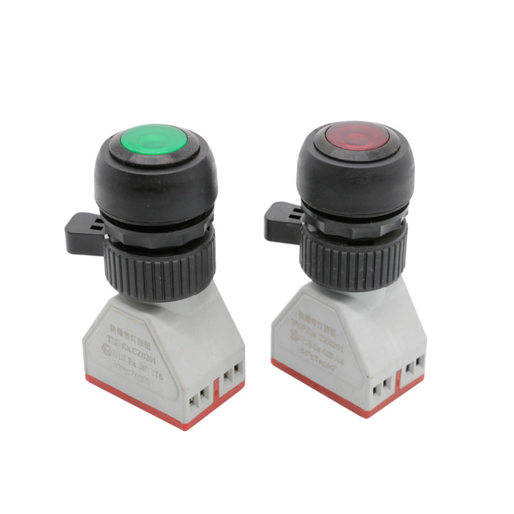 8097-DA係列防爆帶燈按鈕